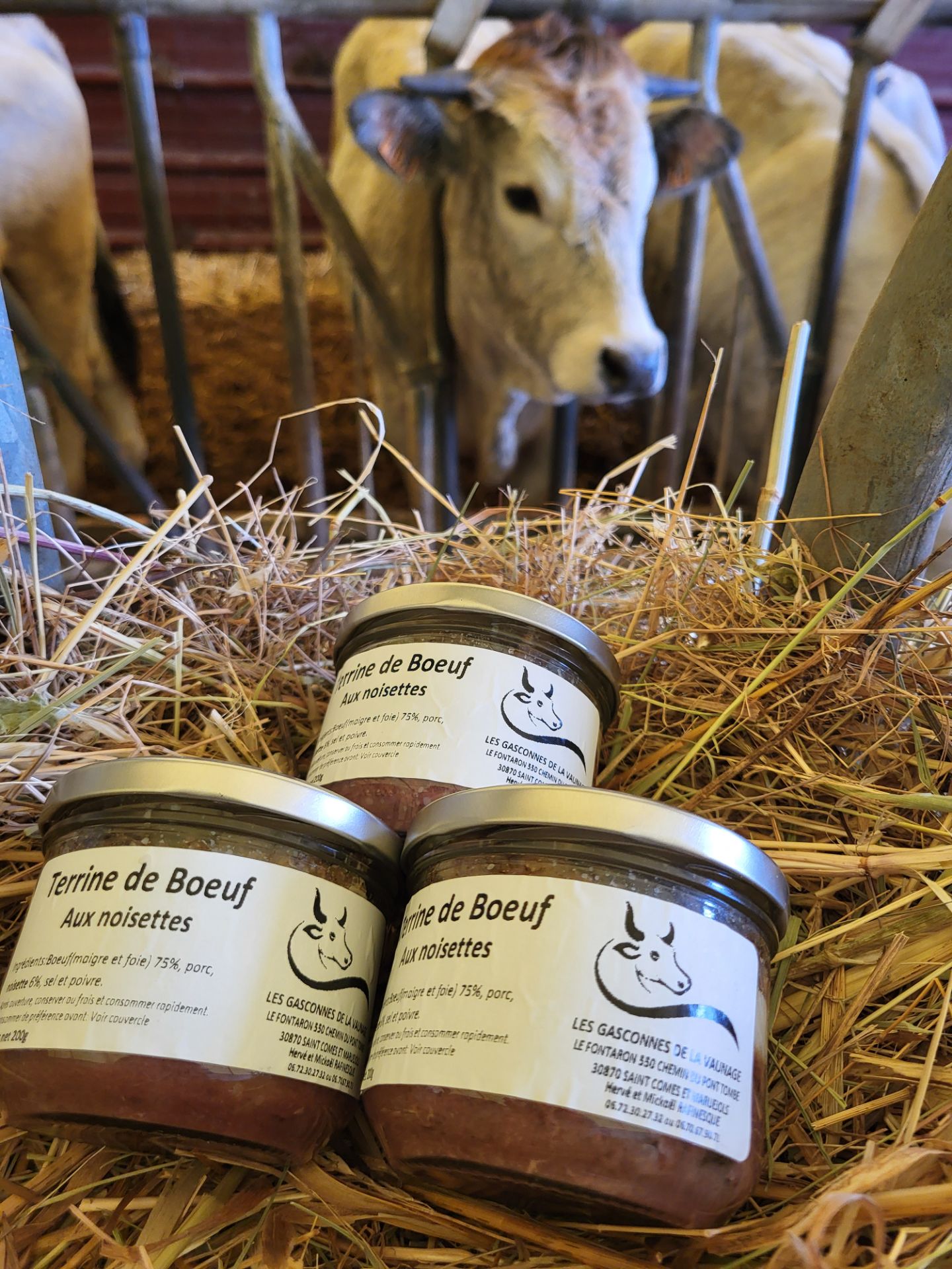 Terrines de boeuf aux noisettes