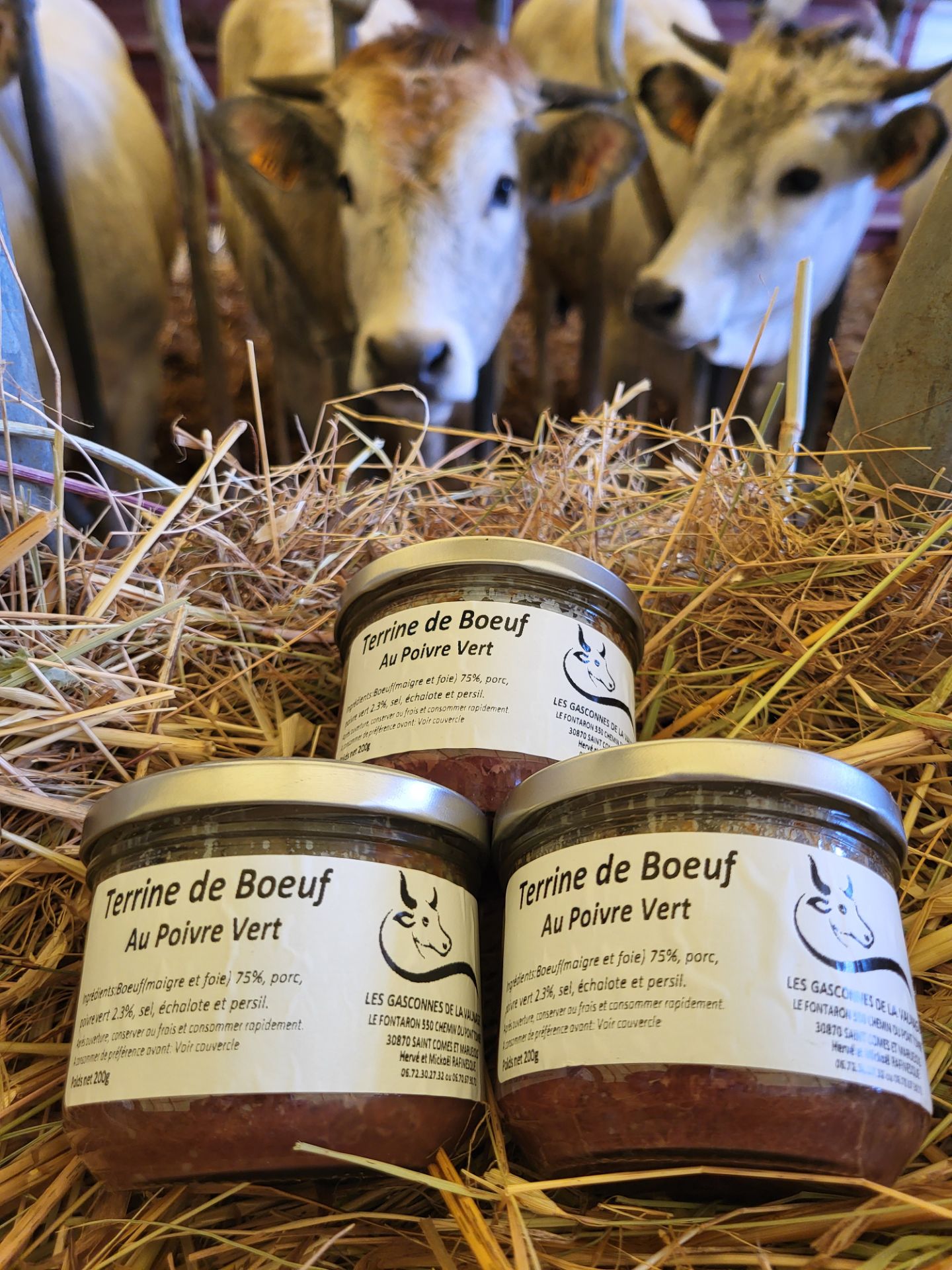 Terrine de boeuf au poivre vert