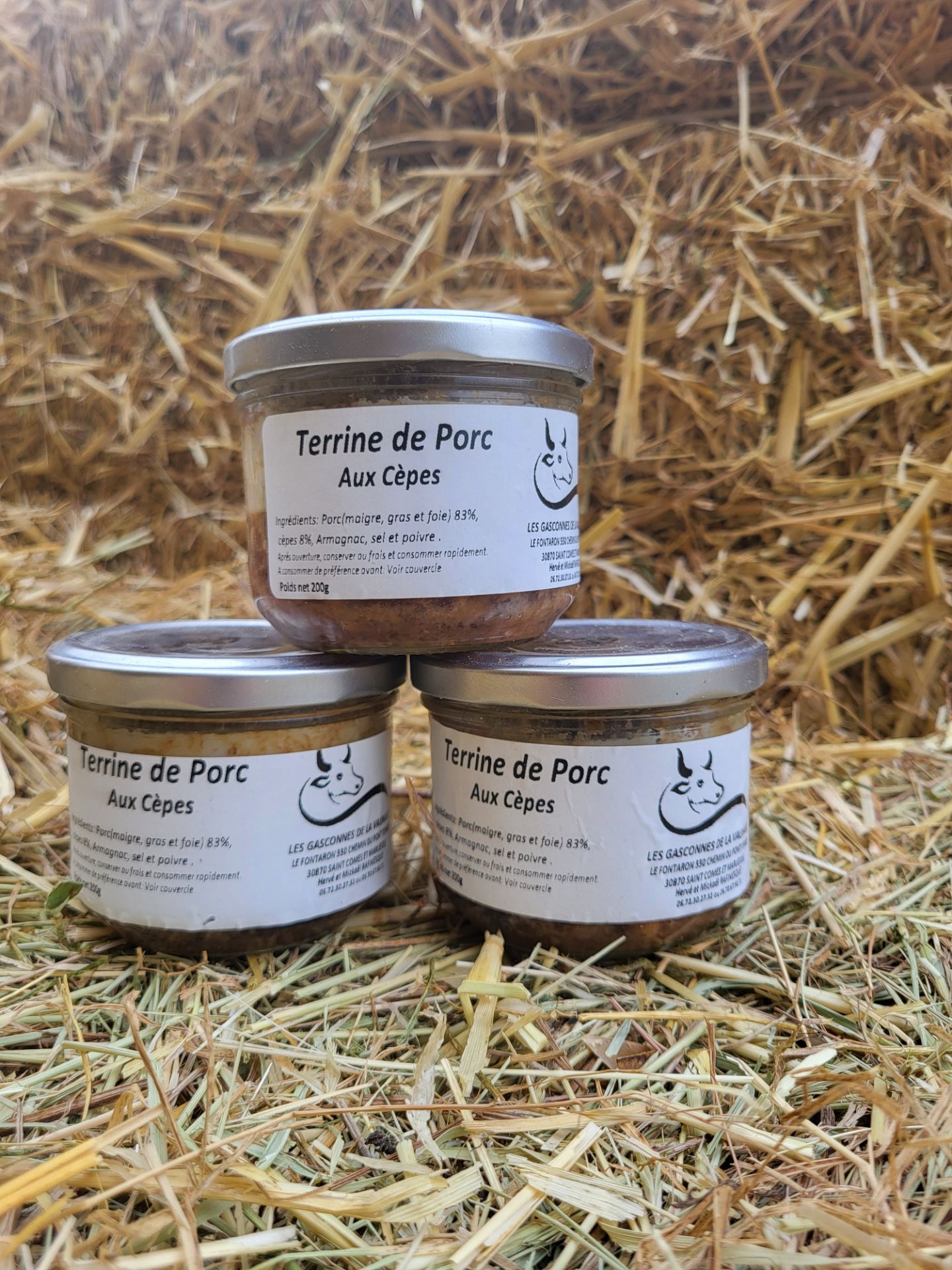 Terrine de porc aux cèpes